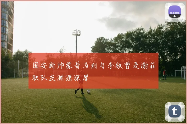 国安新帅蒙哥马利与李铁曾是谢菲联队友渊源深厚
